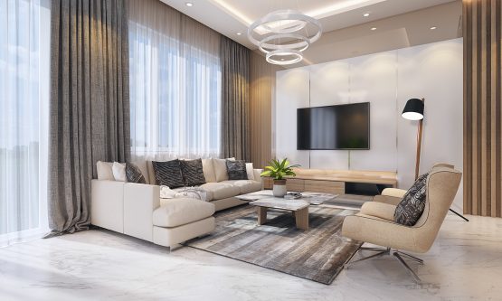 Living Room Designs
