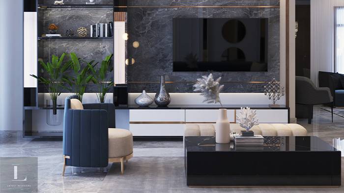 Premium Living Room Interior Design