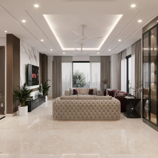 luxury drawing area