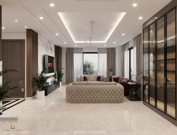 luxury drawing area
