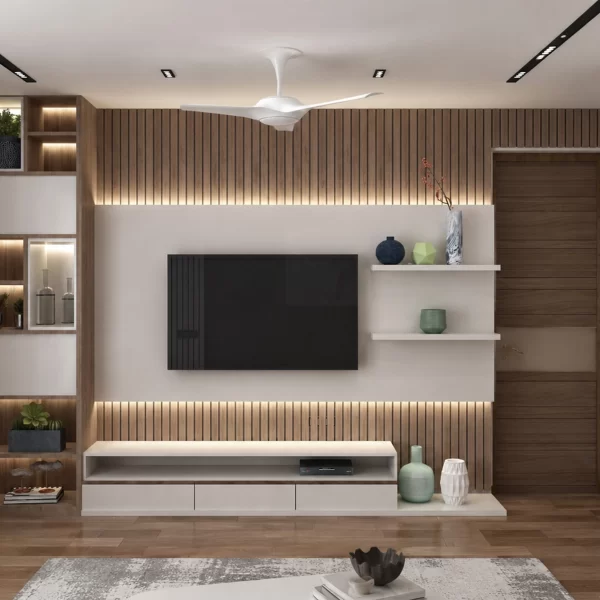 master room tv unit